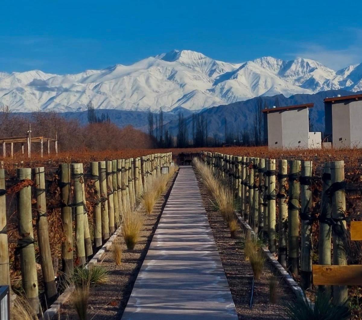 Agrelo Vines Lodge Εξωτερικό φωτογραφία