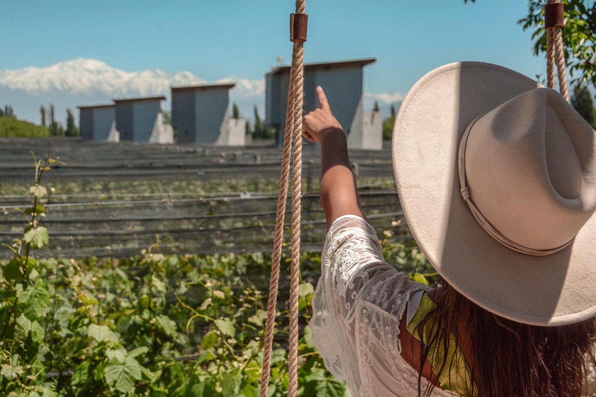 Agrelo Vines Lodge Εξωτερικό φωτογραφία