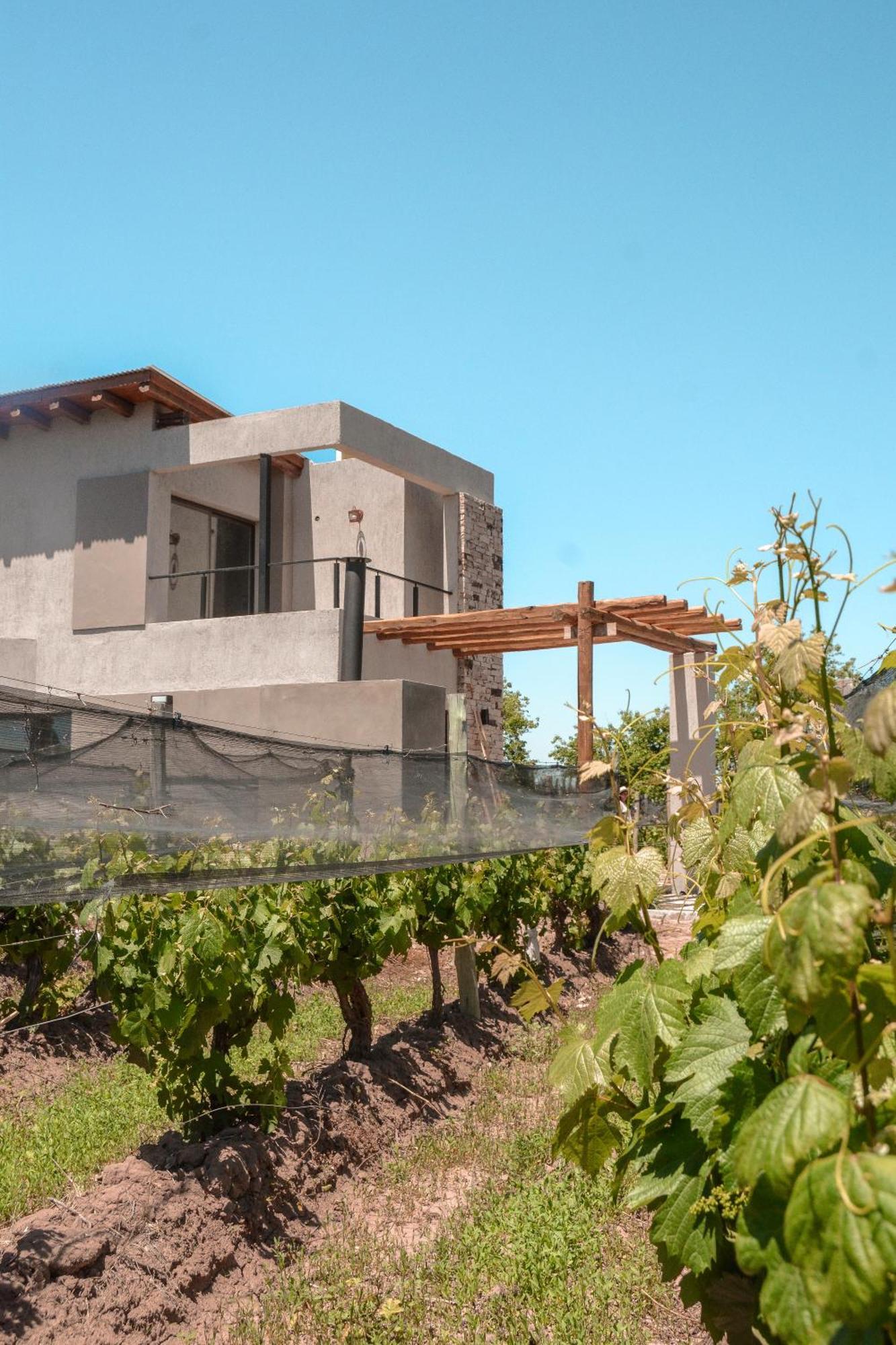 Agrelo Vines Lodge Εξωτερικό φωτογραφία