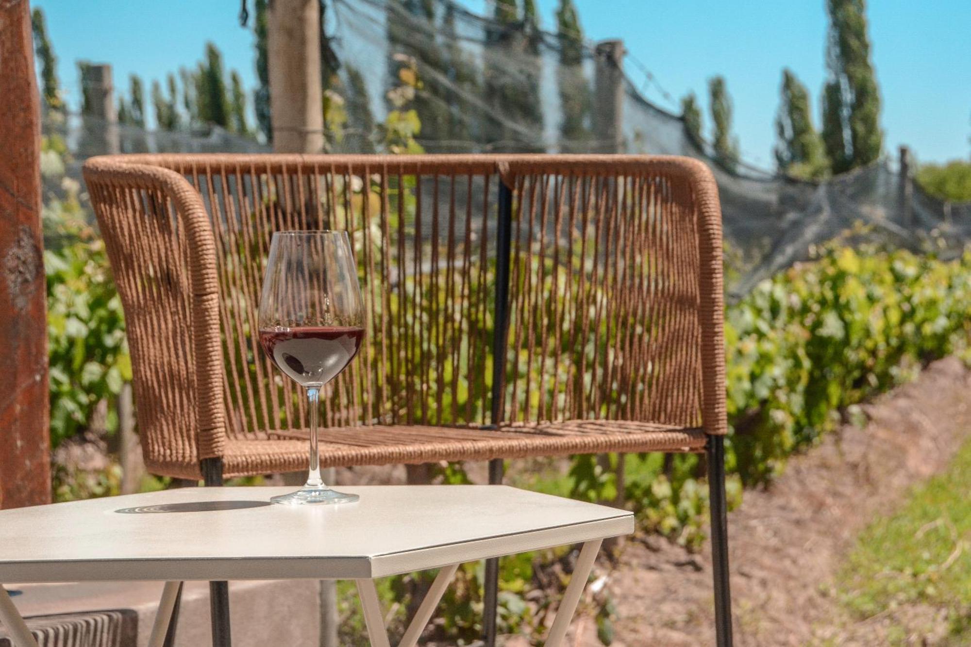 Agrelo Vines Lodge Εξωτερικό φωτογραφία