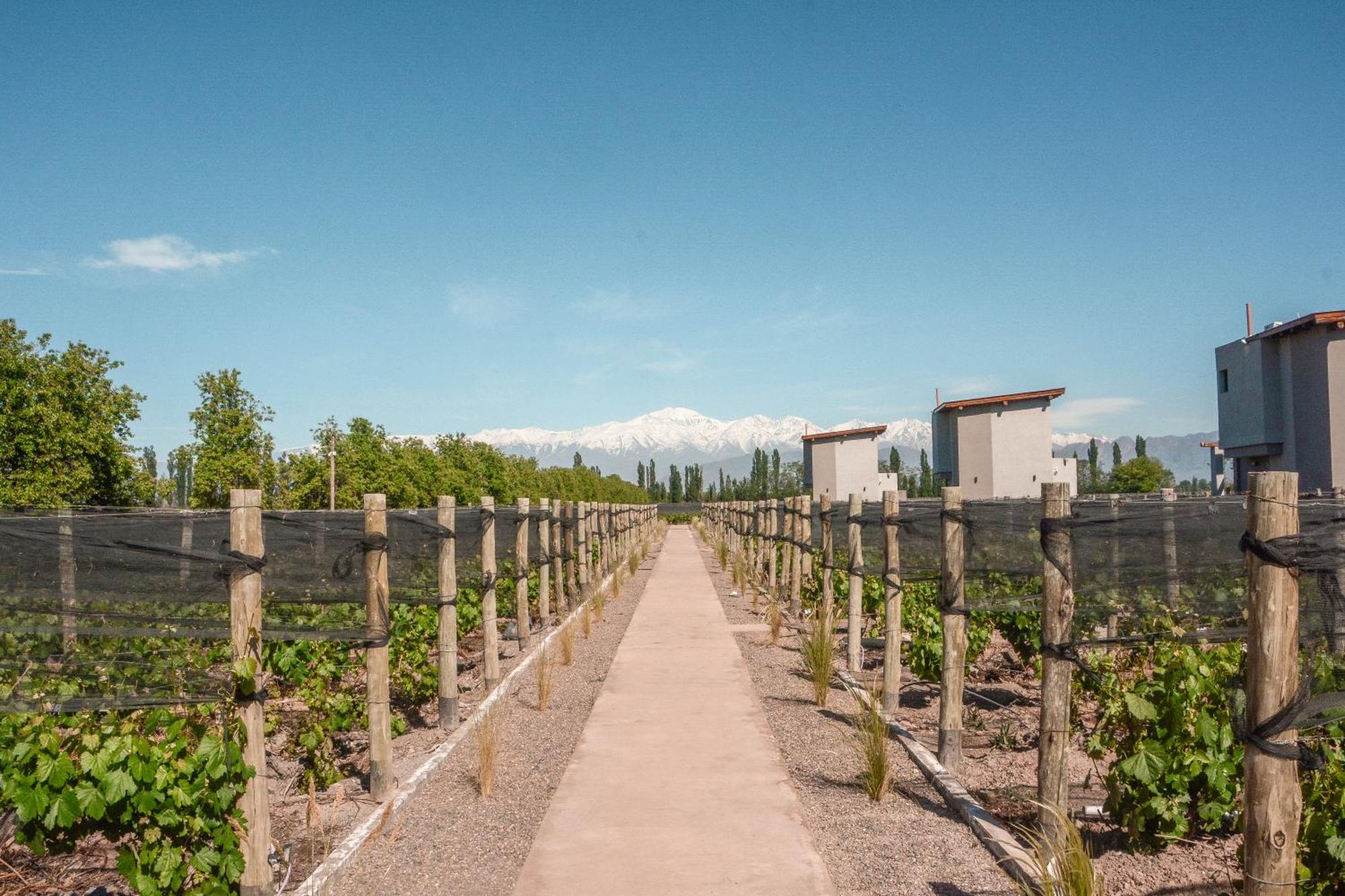 Agrelo Vines Lodge Εξωτερικό φωτογραφία