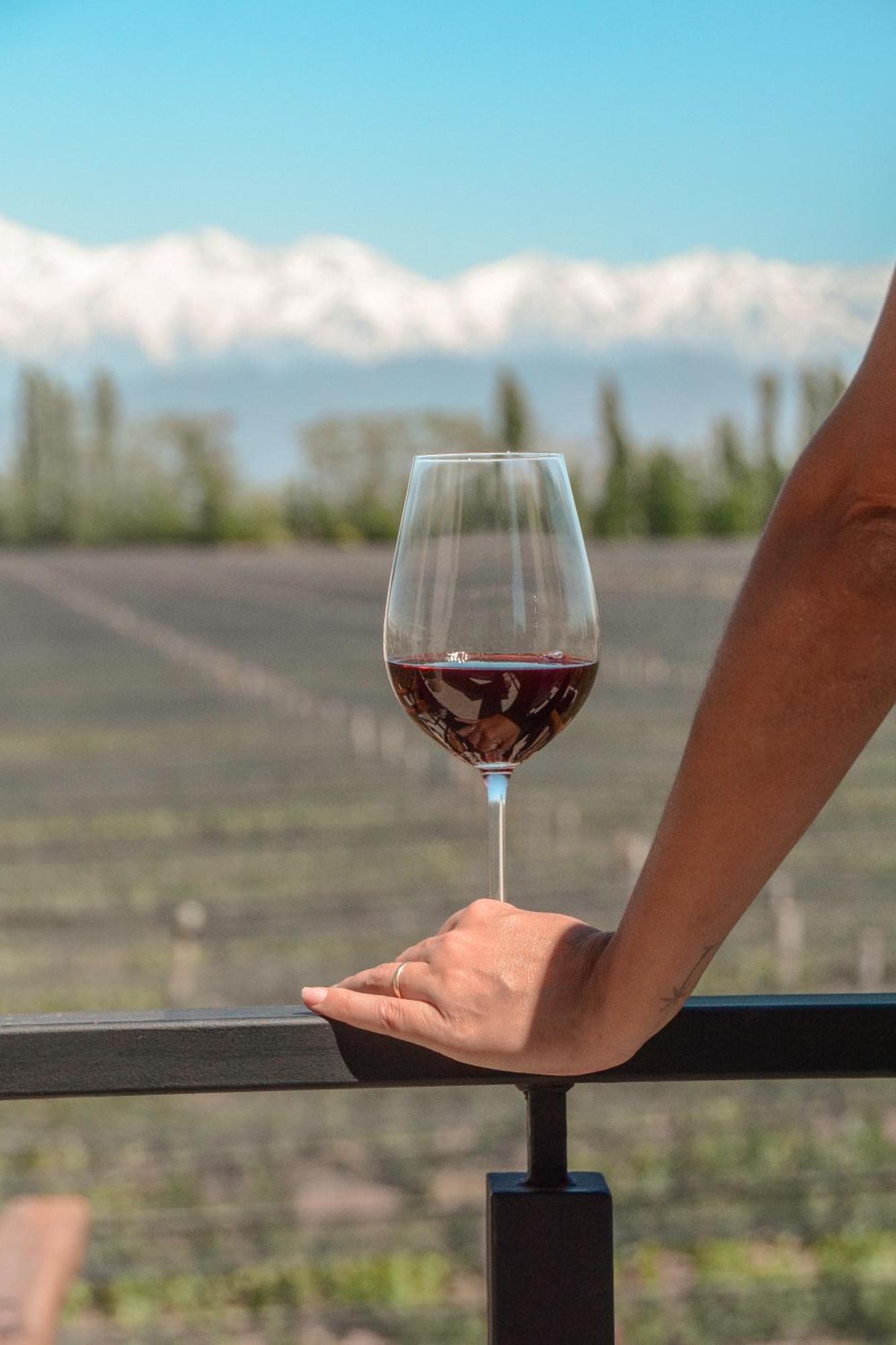 Agrelo Vines Lodge Εξωτερικό φωτογραφία