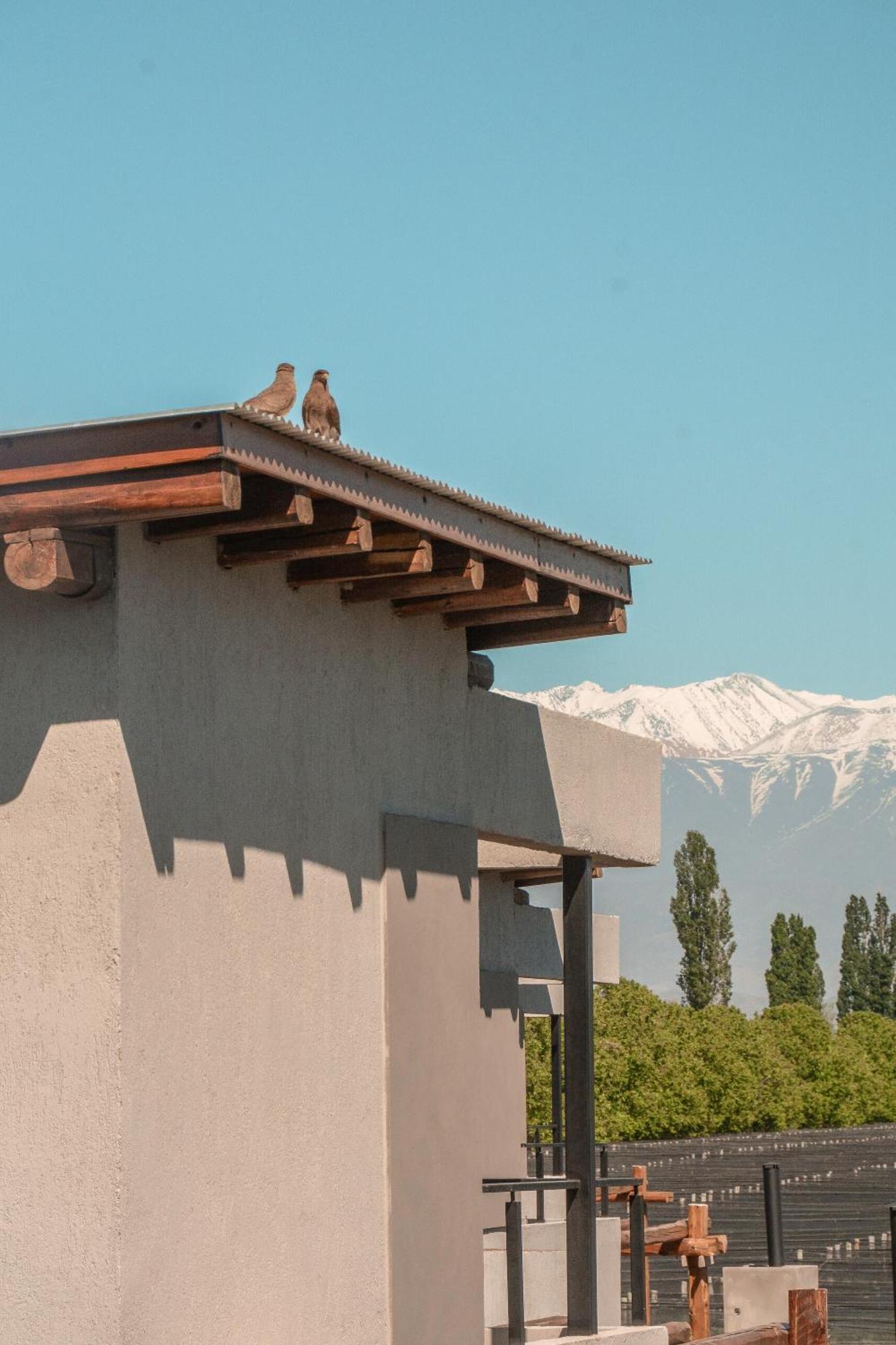 Agrelo Vines Lodge Εξωτερικό φωτογραφία