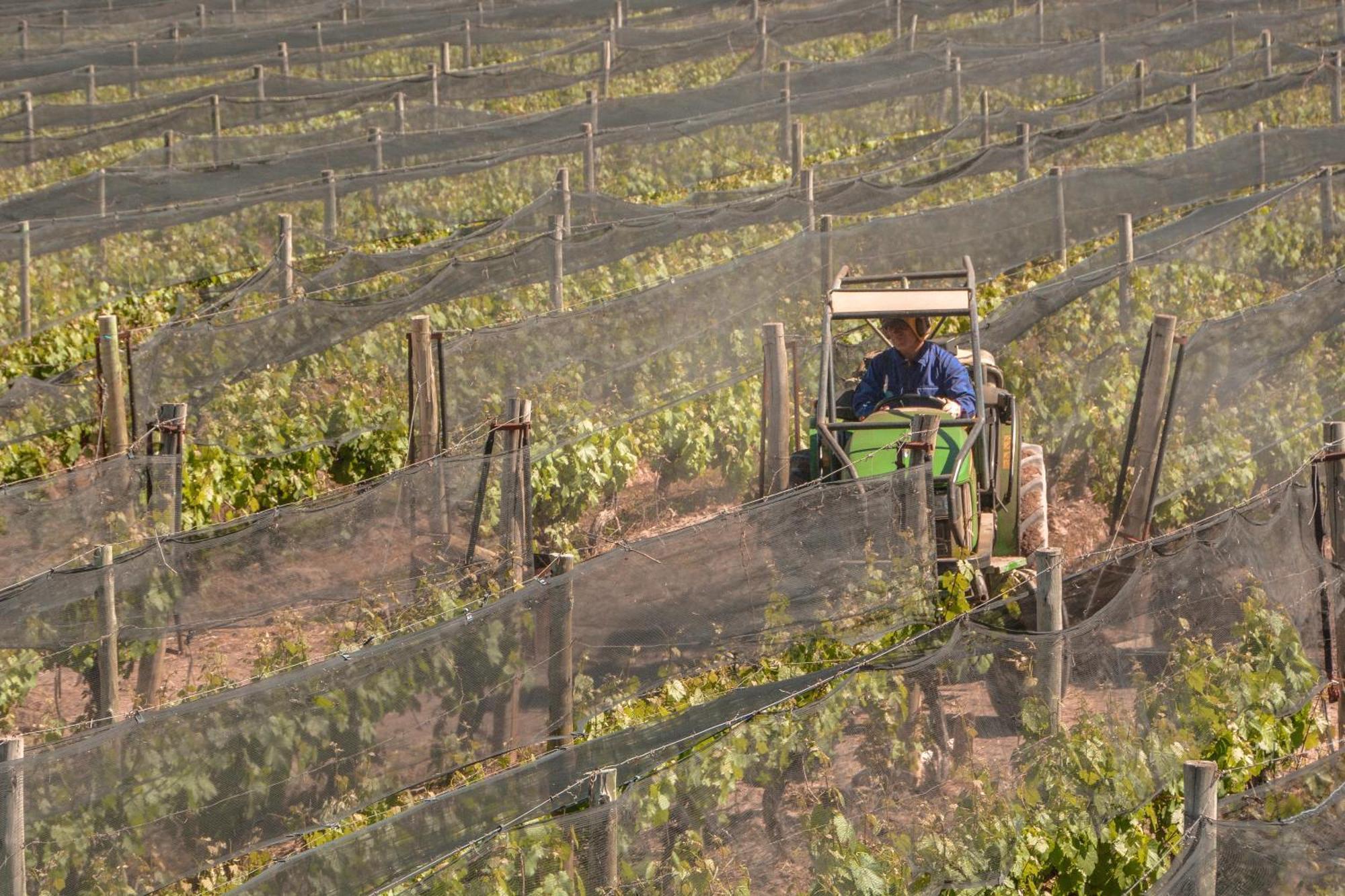 Agrelo Vines Lodge Εξωτερικό φωτογραφία