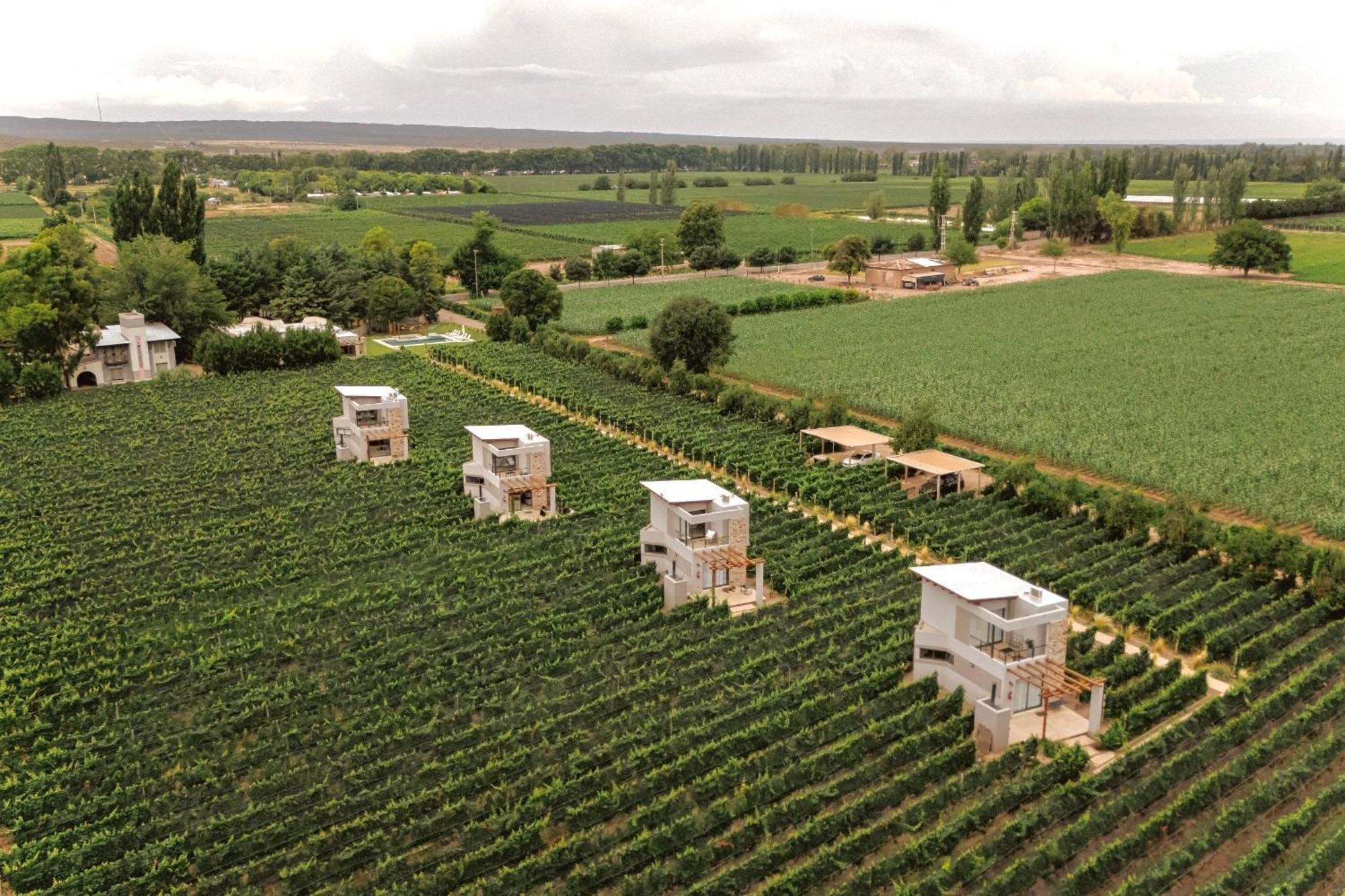Agrelo Vines Lodge Εξωτερικό φωτογραφία